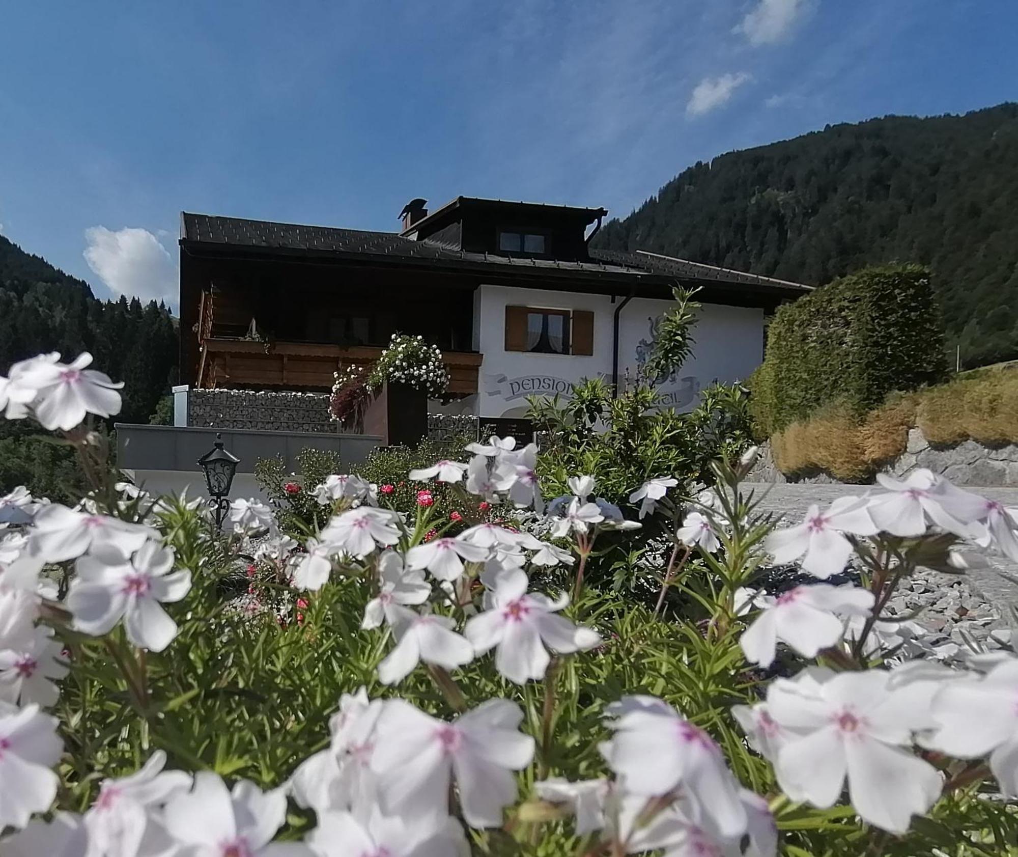 Fruehstueckspension Gweil Sankt Gallenkirch Luaran gambar