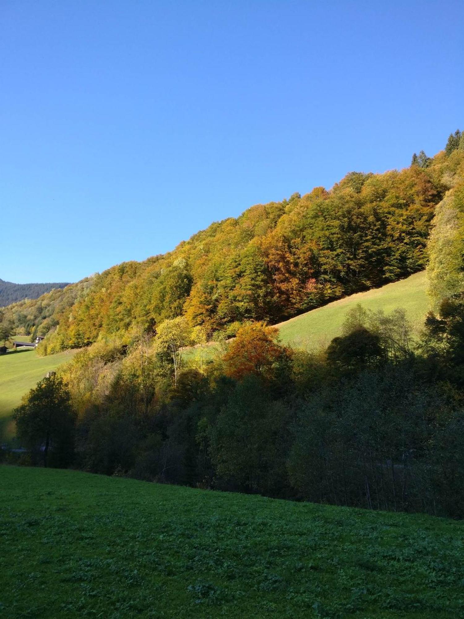 Fruehstueckspension Gweil Sankt Gallenkirch Luaran gambar