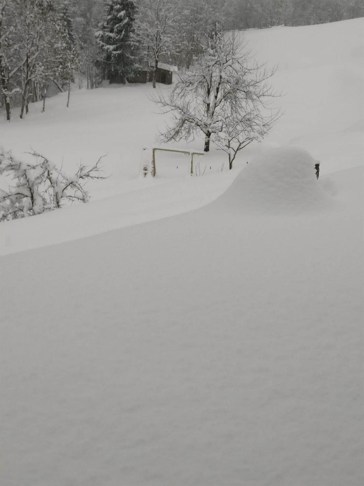 Fruehstueckspension Gweil Sankt Gallenkirch Luaran gambar